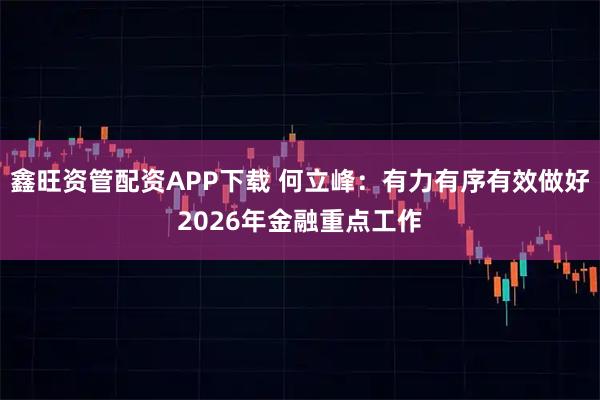 鑫旺资管配资APP下载 何立峰:有力有序有效做好2026年金融重点工作