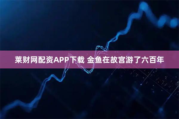 莱财网配资APP下载 金鱼在故宫游了六百年